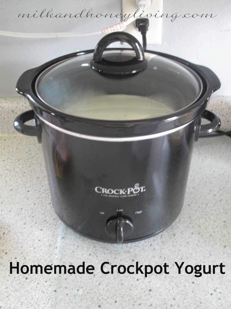 crockpot yogurt